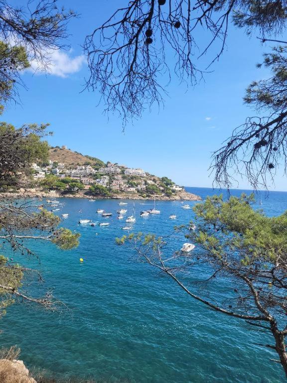 Apartamento Cala Montgo L' Escala Εξωτερικό φωτογραφία